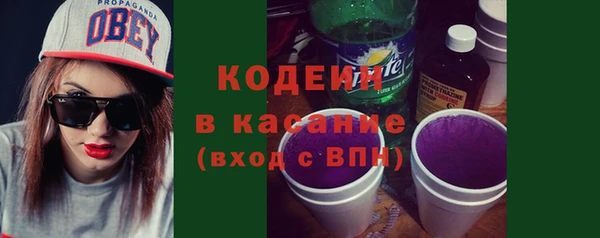 шишки Богородицк